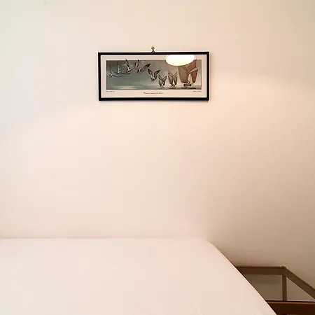 Mir * 托雷莫泽